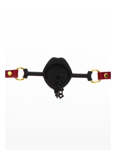 Kinky Gag with Plug
