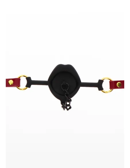 Kinky Gag with Plug