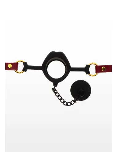 Kinky Gag with Plug