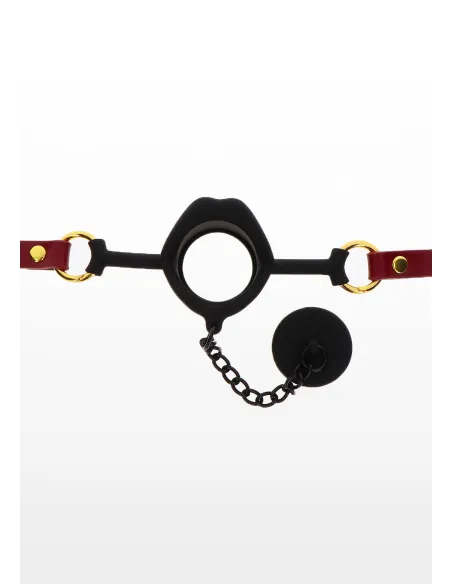 Kinky Gag with Plug