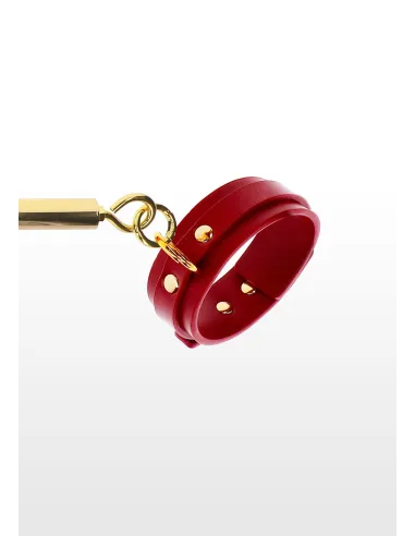 Spreader Bar with Ankle Cuffs