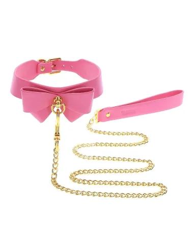 Collar and Leash
