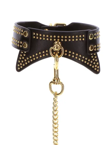 Studded Collar and Leash