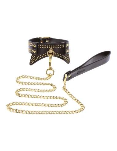 Studded Collar and Leash