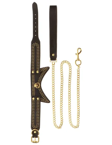 Studded Collar and Leash
