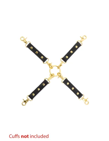 Wild Roses Hogtie