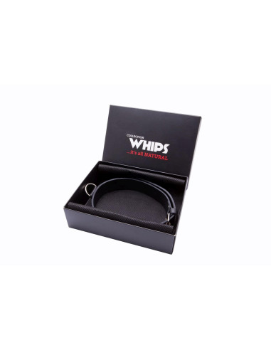 Wiązania-WHIPS obroża męska wąska