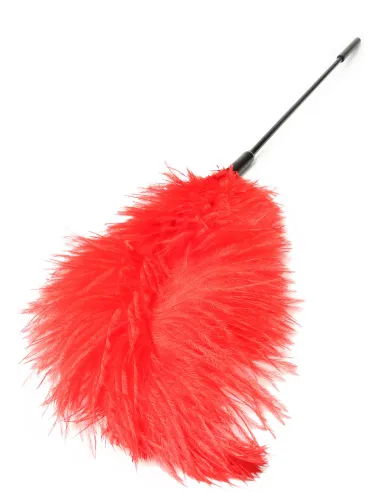 Double Feather Tickler
