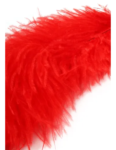 Double Feather Tickler