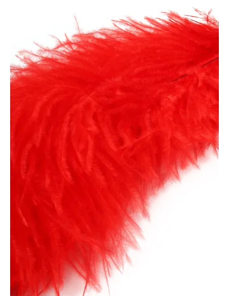 Double Feather Tickler