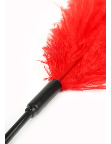 Double Feather Tickler