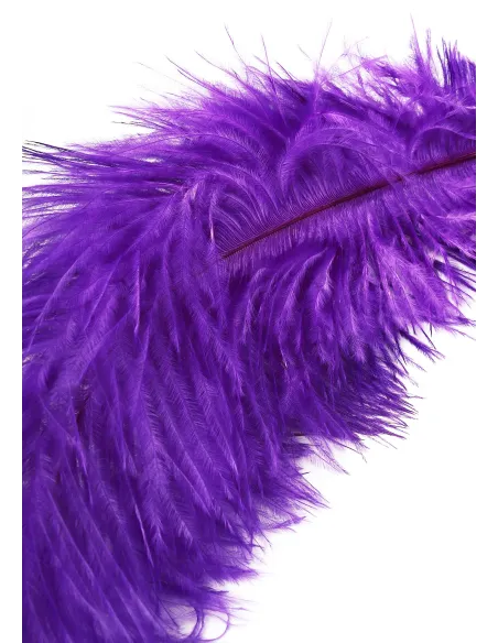 Double Feather Tickler