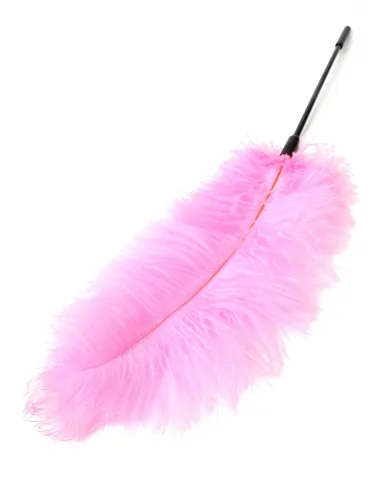 Double Feather Tickler