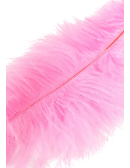 Double Feather Tickler