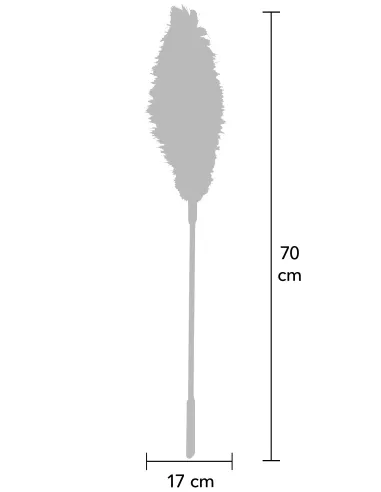 Double Feather Tickler
