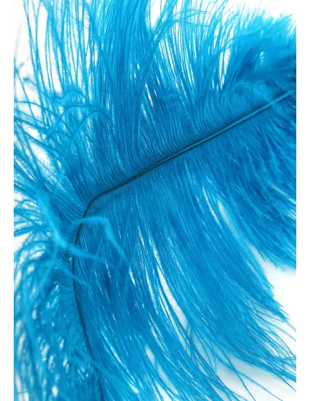 Double Feather Tickler
