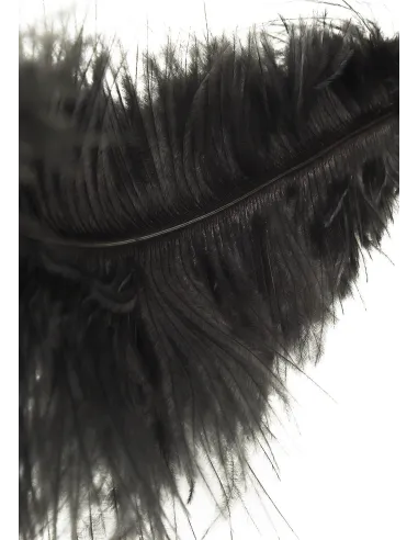Double Feather Tickler