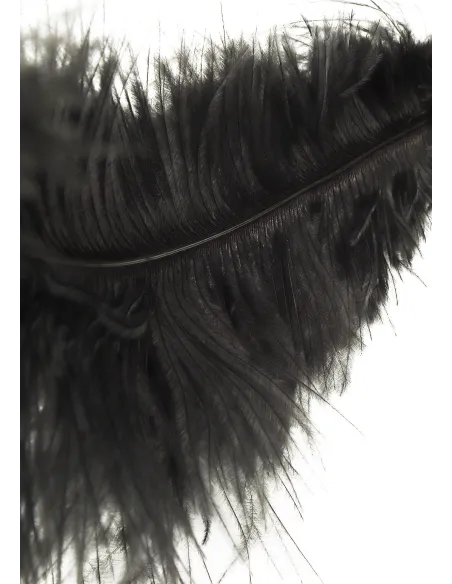 Double Feather Tickler