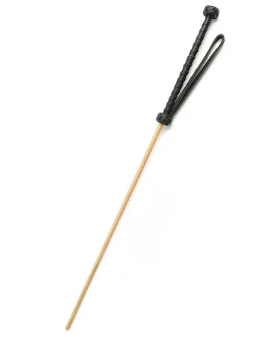 The Obedience Cane