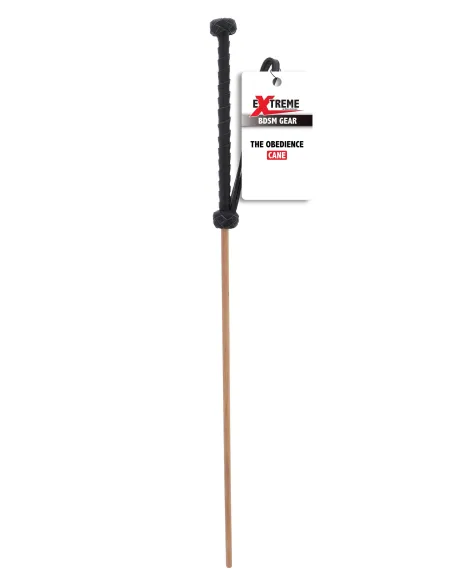The Obedience Cane
