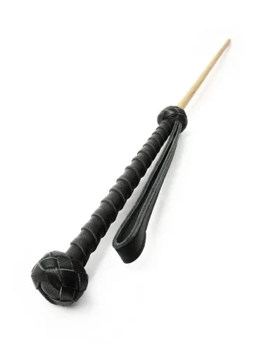 The Obedience Cane