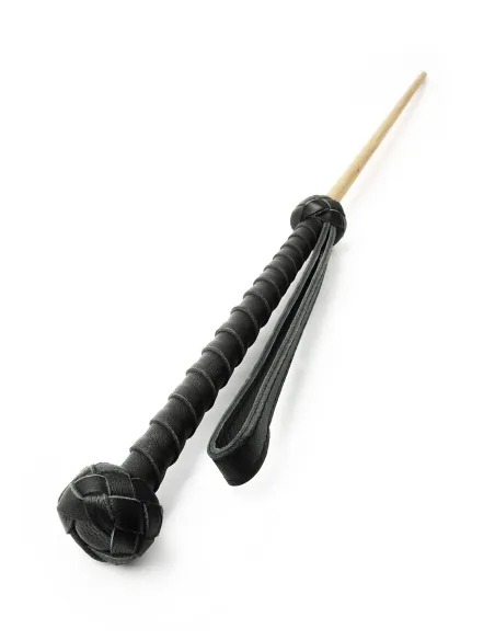 The Obedience Cane