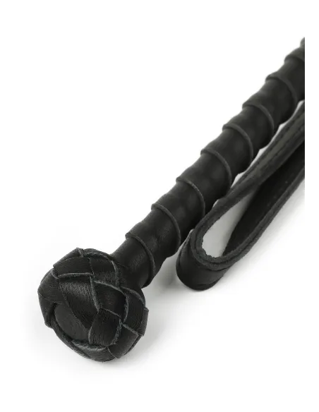 The Obedience Cane