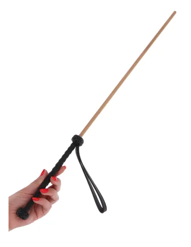 The Obedience Cane