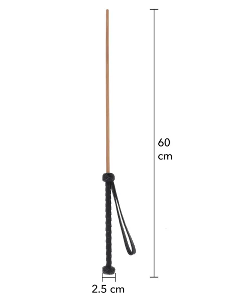 The Obedience Cane